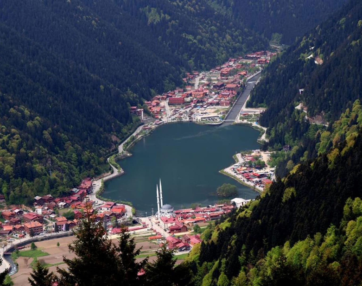 Trabzon Araç Kiralama - Araç Kiralama