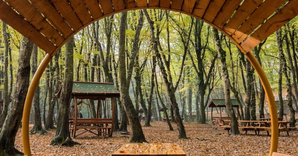 Istanbul's Picnic Routes