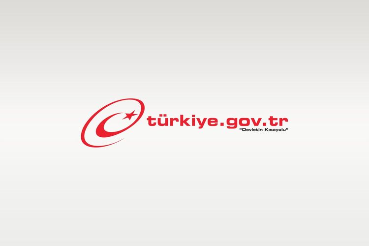 Traffic Accident Reports are Now Easier with E-Devlet!